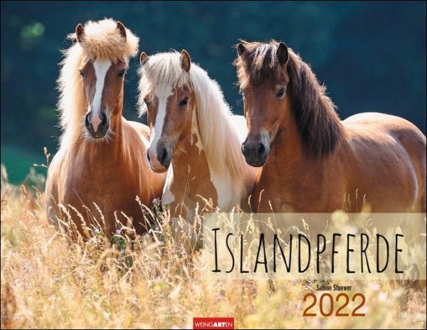 Islandpferde 2022
