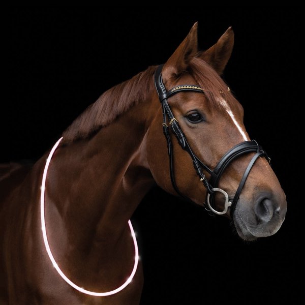 LED-Halsriemen für Pferde