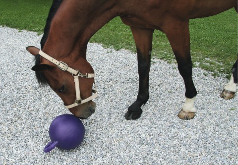 Horseball mit Minzgeschmack