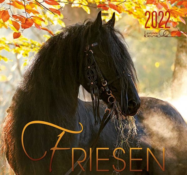 Friesen 2022