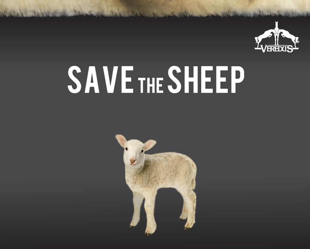 save_the_sheepRtMX6EIvDrkMY
