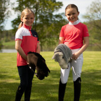 Hobby Horsing