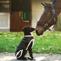 Hundezubehör