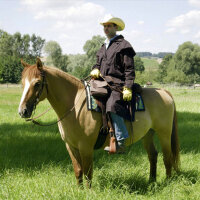 Western