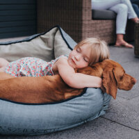 Hundebett