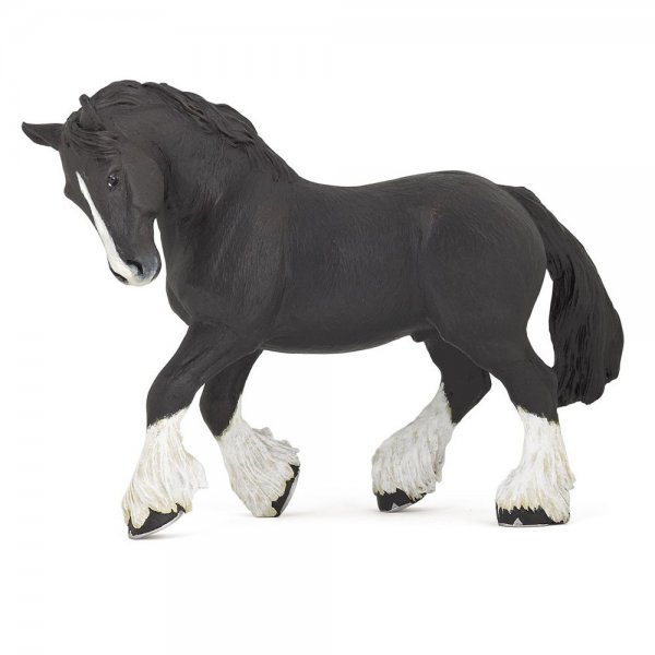 Black Shire Horse