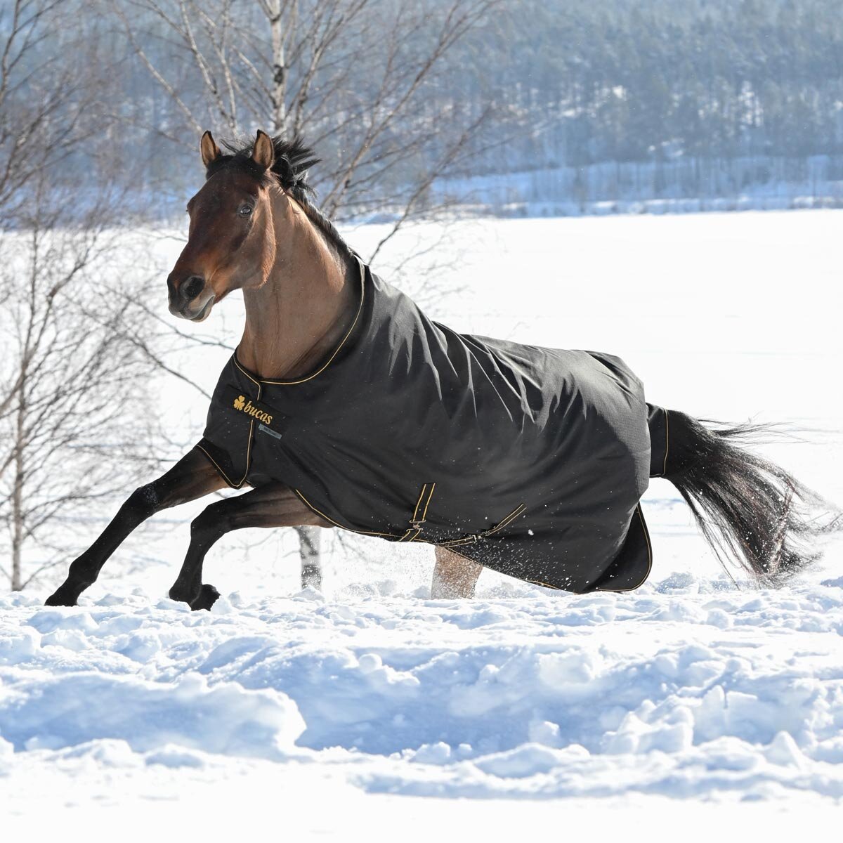 300 - 400g Outdoordecke