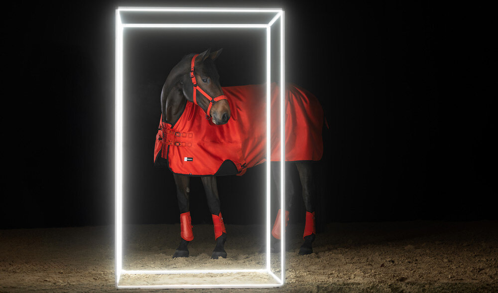 Eskadron Dynamic 2025