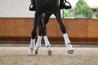 Veredus Absolute Easy Strap - Hinten