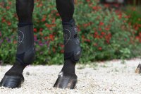 Veredus Absolute Easy Strap - Vorn