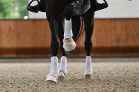 Veredus Absolute Easy Strap - Vorn