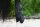 Veredus Absolute Easy Strap - Vorn