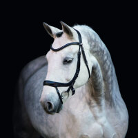 Trense Premium Equitus Alpha