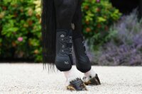 Veredus ABSOLUTE Elastic - Hinten L schwarz