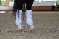 Veredus ABSOLUTE Elastic - Hinten L schwarz