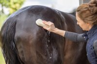 MAGIC Brush Bürste Nature