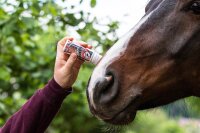 Leovet Power Phaser Roll-On 75 ml