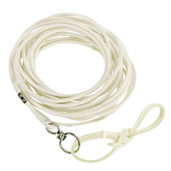Longierriemen mit Wirbel 250cm