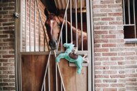 Kentucky Einhorn Relax Horse Toy türkis