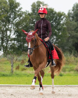 Brands of Q Reithelm-Überzug Weihnachten Rudolph