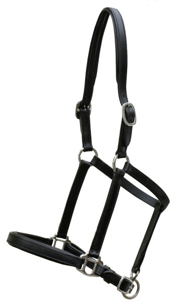 Euroriding Fohlenhalfter