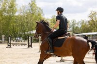 Pikeur Rodrigo - Kniegrip