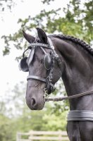 Ideal Equestrian Stirnband mit Kette