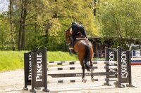 Pikeur Rodrigo - Kniegrip