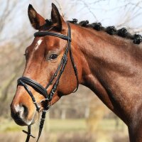 Euroriding Trense Marseille WB schwarz