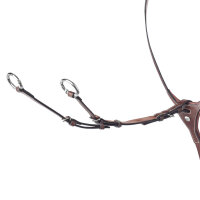 Prestige Martingalgabel D35.1 WB dunkelbraun