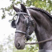 Ideal Equestrian Fahrzaum ohne Scheuleder PONY schwarz
