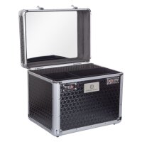 Putzbox Shiny