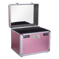 Putzbox Shiny