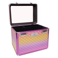 Putzbox Shiny