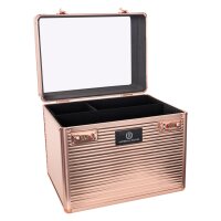 Imperial Riding Putzbox Shiny Classic roségold