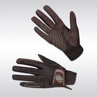 Samshield Reithandschuh V-Skin