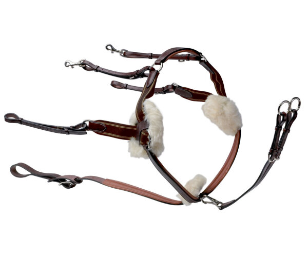 Prestige 5 Punkte Vorderzeug D27