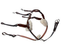 Prestige 5 Punkte Vorderzeug D27