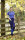 Riding Tights Livonia