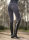 Softshell Reithose Speed