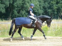 Trainingsdecke FLY