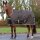 Stalldecke Freedom
