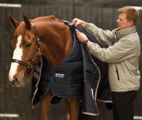 Horseware Liner