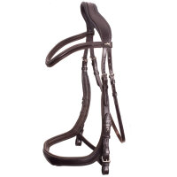 Trensenzaum Equitus Delta