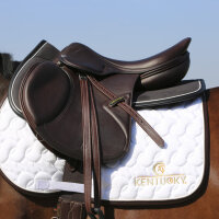 Sattelpad Absorb Anatomic