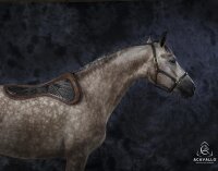 Close Contact Memory Pad