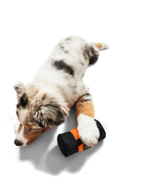 Trainer Snack Dummy