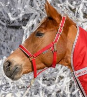 Stallhalfter Dublin