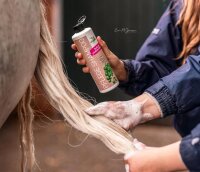 Bense & Eicke Pflege Shampoo