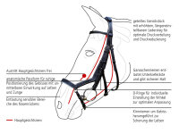 Anatomische Trense FEELING